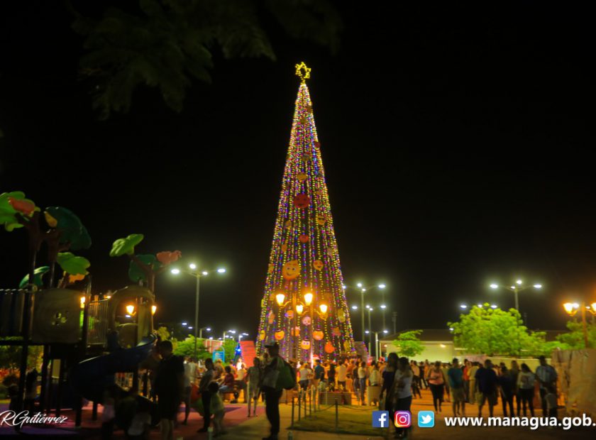 PORTADA. ENCENDIDA DE ARBOL