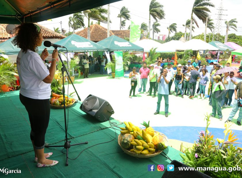 PORTADA. FERIA AMBIENTAL