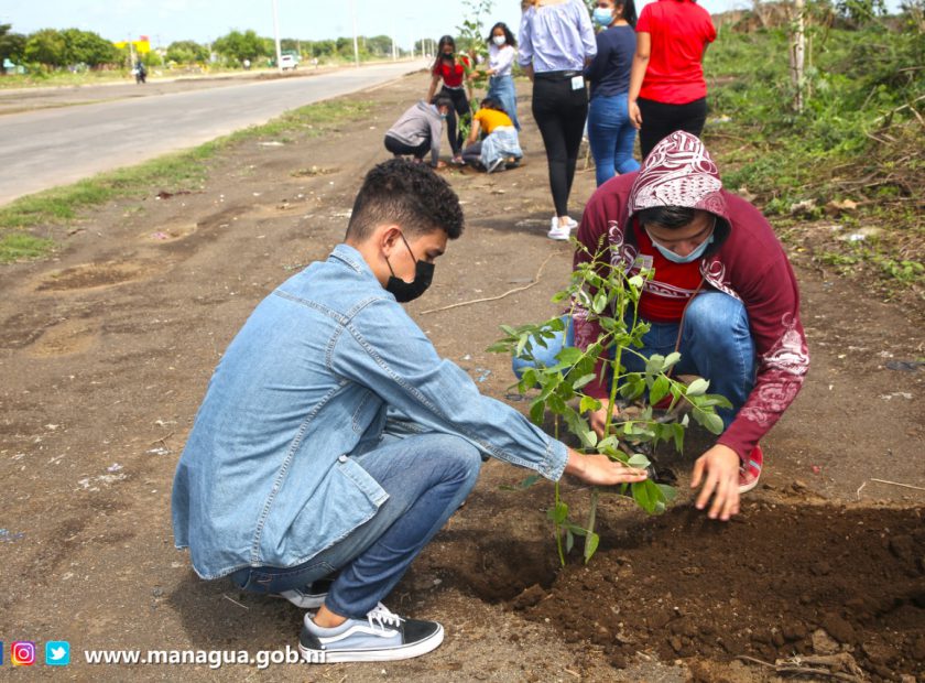 REFORESTACION (1)